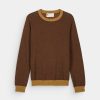 Homme Harris Wilson | Pull Robin Marron Chocolat/Camel